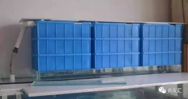 大型魚缸安裝圖：大型魚缸安裝關鍵步驟和注意事項