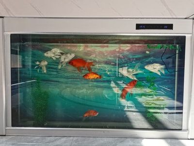 大型魚缸安裝圖：大型魚缸安裝關鍵步驟和注意事項