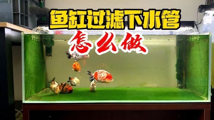 膠南市鑫源睿美水族店（膠南市鑫源睿美水族店電話）