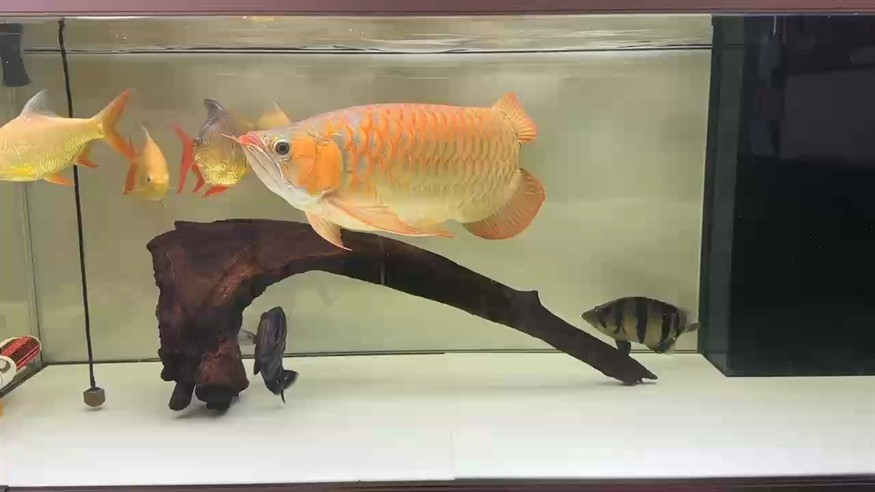 ○○○○○