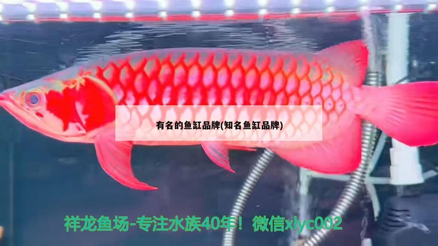鶴崗市工農區仁利水族館（鶴崗市工農區仁利水族館在哪）