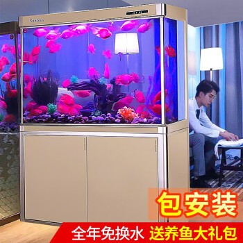 紅龍魚老是趴缸子怎么回事兒呀（紅龍魚老是趴缸子怎么回事兒呀視頻） 紅龍魚老是趴缸子怎么回事兒呀（紅龍魚老是趴缸子怎么回事兒呀視頻） 紅龍魚百科