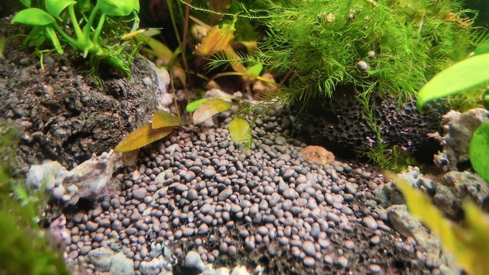 買了包ADA泥散裝細泥感覺不太像 買了包ADA泥散裝細泥感覺不太像 龍魚論壇 第2張