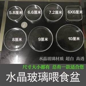 10cm魚缸養(yǎng)水晶蝦:水晶蝦養(yǎng)殖方法 魚缸百科 第1張 10cm魚缸養(yǎng)水晶蝦:水晶蝦養(yǎng)殖方法 10cm魚缸養(yǎng)水晶蝦:水晶蝦養(yǎng)殖方法 魚缸百科 第1張