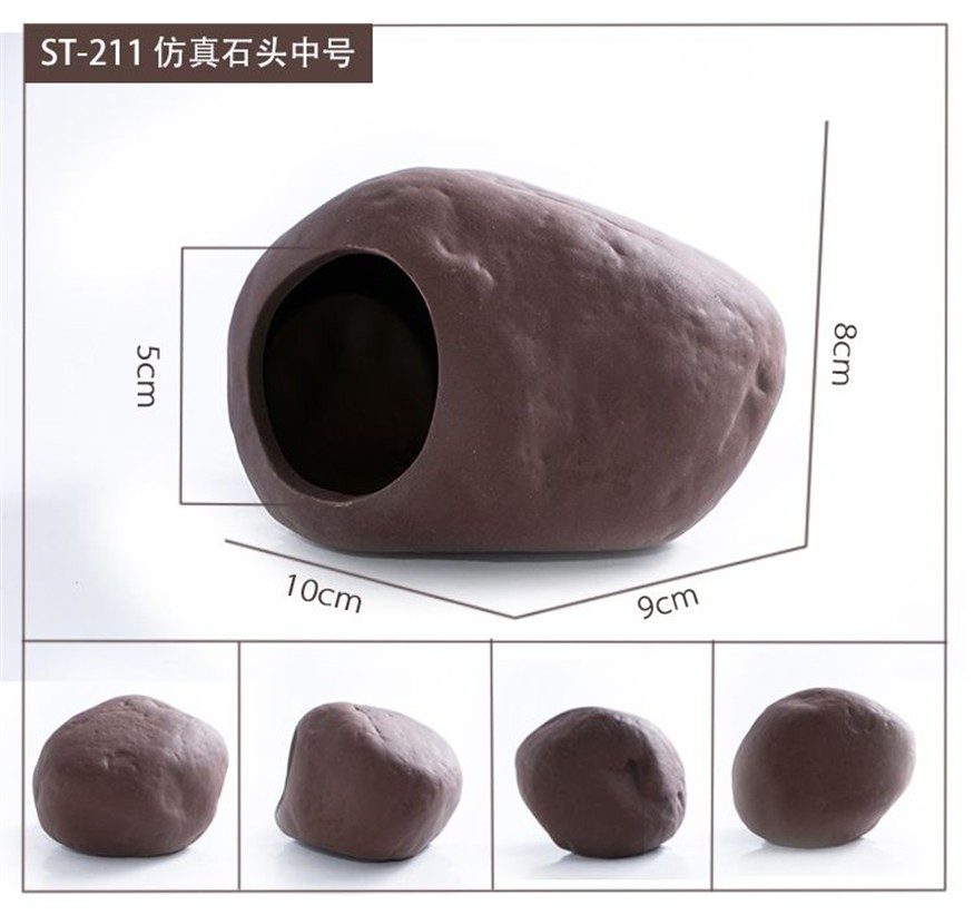 10cm魚缸養(yǎng)水晶蝦：水晶蝦養(yǎng)殖方法 10cm魚缸養(yǎng)水晶蝦：水晶蝦養(yǎng)殖方法 魚缸百科 第2張