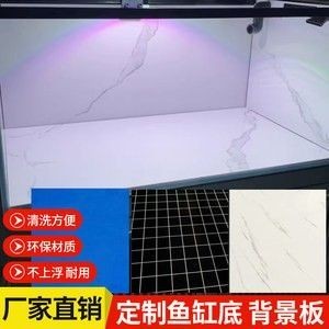 龍魚缸底色怎么選擇的 龍魚百科 第1張 龍魚缸底色怎么選擇的 龍魚缸底色怎么選擇的 龍魚百科 第1張