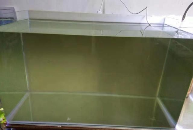 龍魚每次換水多少毫升