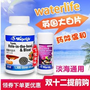 龍魚不開燈自然養的好處和壞處