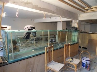 玻璃廠能做魚缸嗎現在：玻璃廠可以制作魚缸嗎？ 玻璃廠能做魚缸嗎現在：玻璃廠可以制作魚缸嗎？ 魚缸百科 第1張