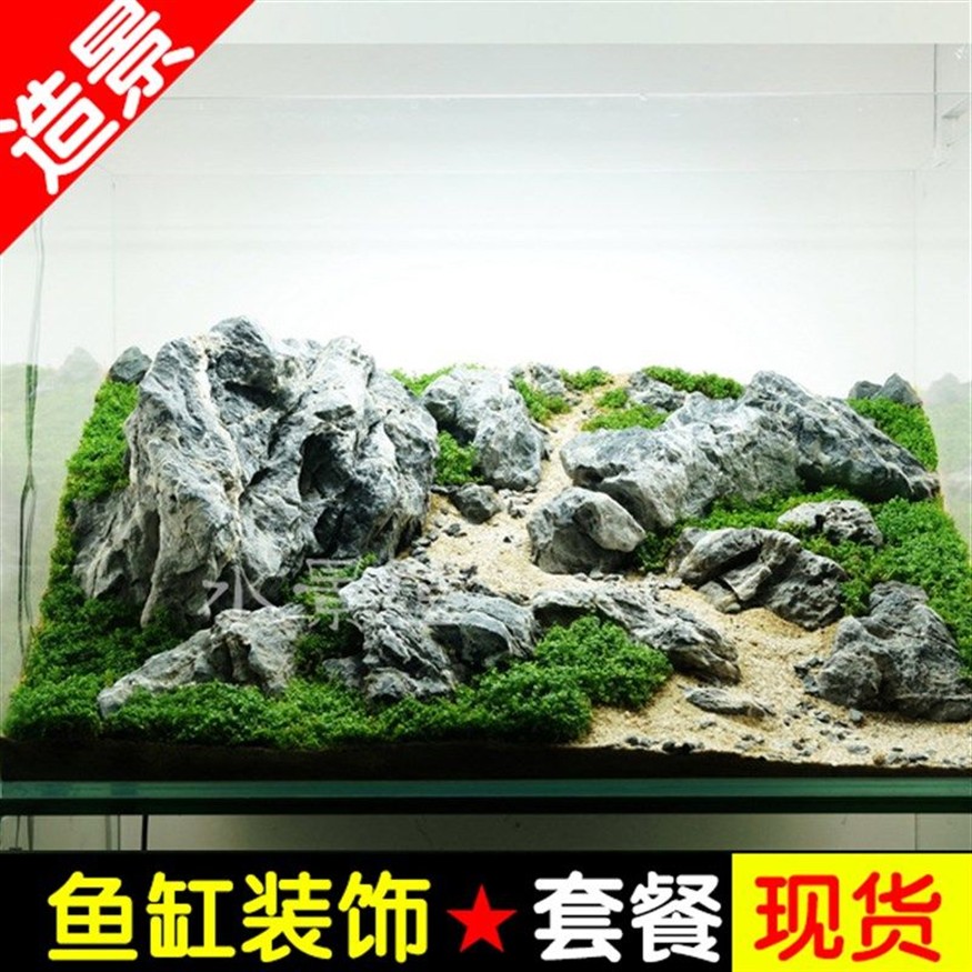 100cm魚缸造景：100cm魚缸造景關(guān)鍵步驟和注意事項和注意事項 100cm魚缸造景：100cm魚缸造景關(guān)鍵步驟和注意事項和注意事項 魚缸百科 第2張