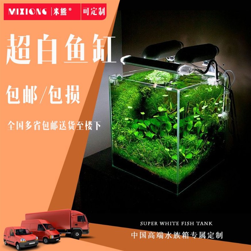 100cm魚缸造景：100cm魚缸造景關(guān)鍵步驟和注意事項和注意事項 100cm魚缸造景：100cm魚缸造景關(guān)鍵步驟和注意事項和注意事項 魚缸百科 第3張