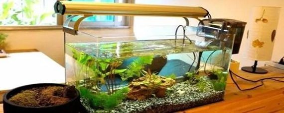玻璃膠粘的魚缸結(jié)實嗎 玻璃膠粘的魚缸結(jié)實嗎 魚缸百科 第2張
