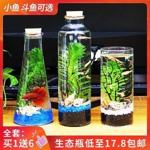 棗莊市市中區(qū)旺海水族觀賞魚店（棗莊市市中區(qū)旺海水族觀賞魚店電話）