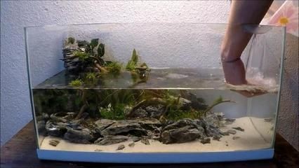1.2米魚缸加水多重：1.2米魚缸加水后的總重量