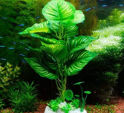 玻璃魚缸養(yǎng)什么魚好看：如何選擇適合玻璃魚缸的魚種