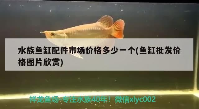 水族魚(yú)缸配件市場(chǎng)價(jià)格多少一個(gè)(魚(yú)缸批發(fā)價(jià)格圖片欣賞)