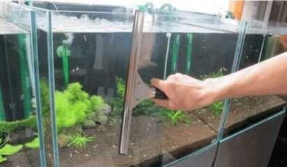 養龍魚怎么清洗魚缸內部污垢 養龍魚怎么清洗魚缸內部污垢 龍魚百科 第3張