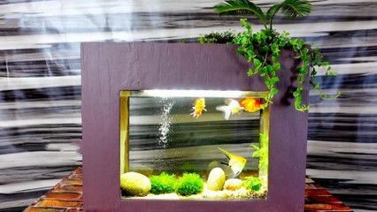 創意魚缸制作：創意魚缸的制作方法