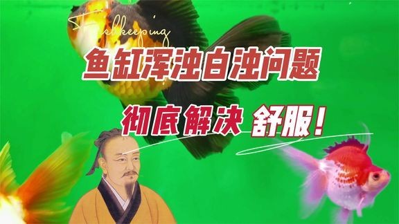 百勝魚缸質量好不好用：消費者對百勝魚缸的質量持肯定態度 百勝魚缸質量好不好用：消費者對百勝魚缸的質量持肯定態度 魚缸百科 第2張