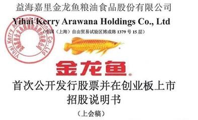 紅龍魚有什么品牌的魚缸好（紅龍魚有什么品牌的魚缸好用）