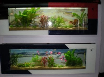 博雅魚缸官網：關于博雅魚缸的一些信息