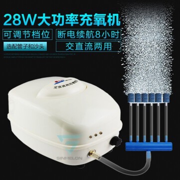 衛(wèi)輝市人民路龍門水族魚缸經(jīng)銷店（衛(wèi)輝賣魚缸的在哪）