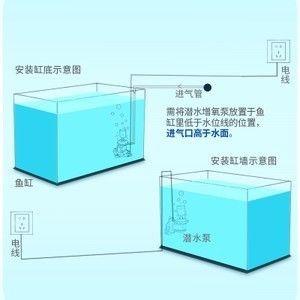 安裝小魚缸視頻：小魚缸安裝基礎(chǔ)教程