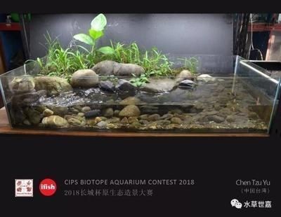 鄒平龍躍水族（鄒平龍躍水族館電話）