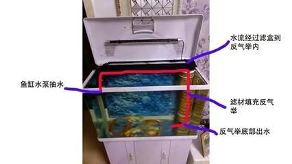 側濾魚缸怎么改上濾：側濾魚缸改造上濾的步驟 側濾魚缸怎么改上濾：側濾魚缸改造上濾的步驟 魚缸百科 第3張