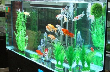 汶上縣龍宮水族館（汶上縣龍宮水族館電話）