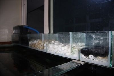 成品魚缸上過(guò)濾槽怎么放濾材視頻：背濾魚缸的優(yōu)點(diǎn)和安裝方法