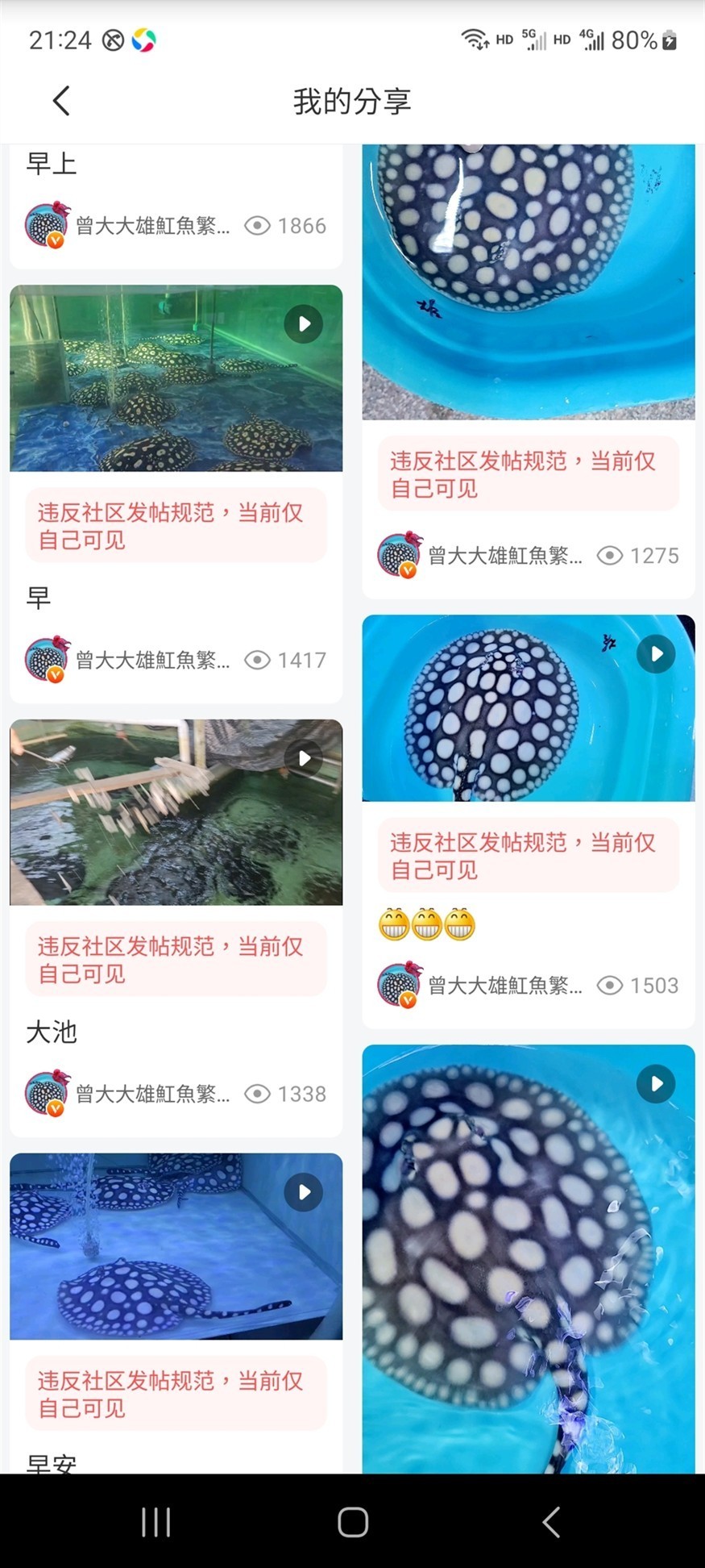 每篇都被刪