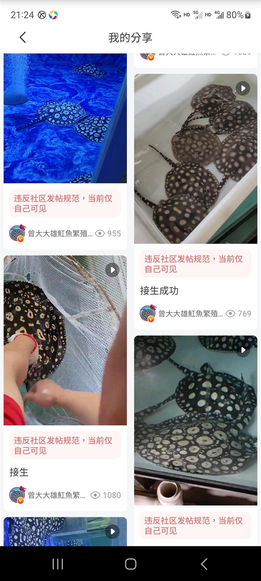每篇都被刪