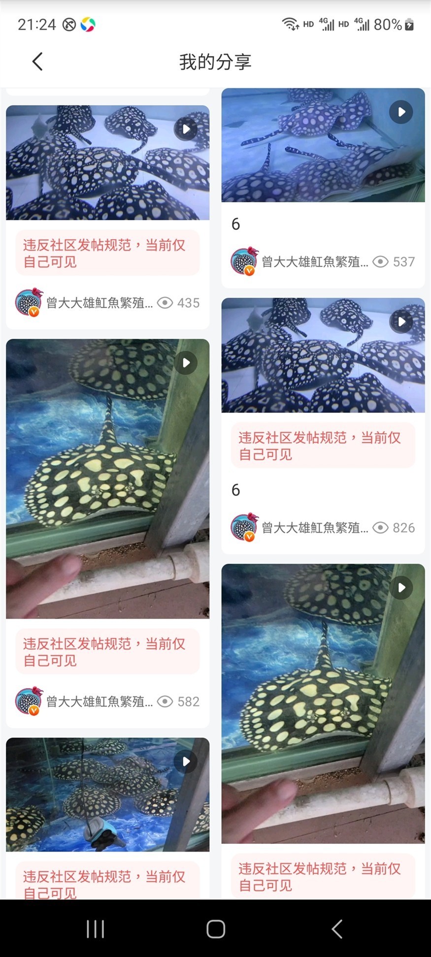 每篇都被刪 每篇都被刪 龍魚論壇 第4張