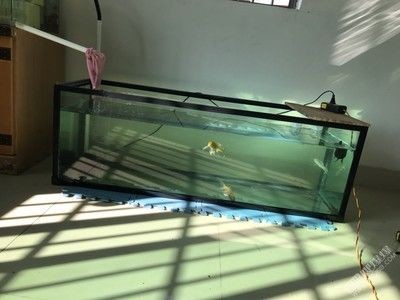 帶蓋的魚缸怎么拆卸：帶蓋的魚缸如何拆卸