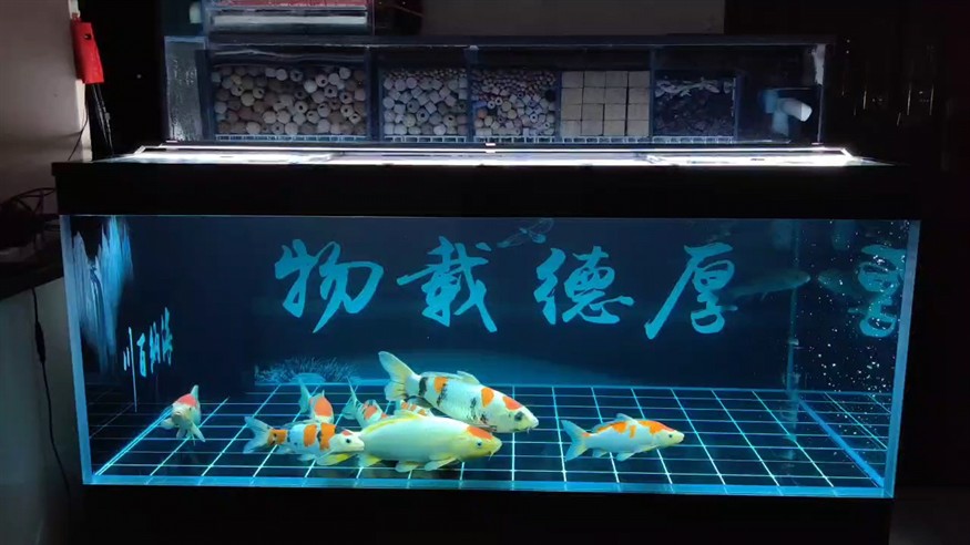 九龍地缸