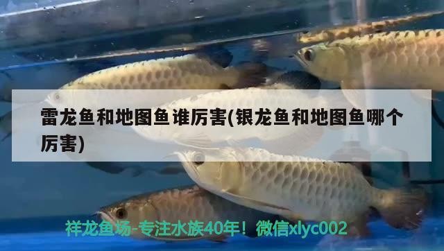 自從養(yǎng)了貓運(yùn)氣就一直不好，貓的生理習(xí)性如捕鼠直不好，養(yǎng)貓與運(yùn)氣之間的關(guān)系