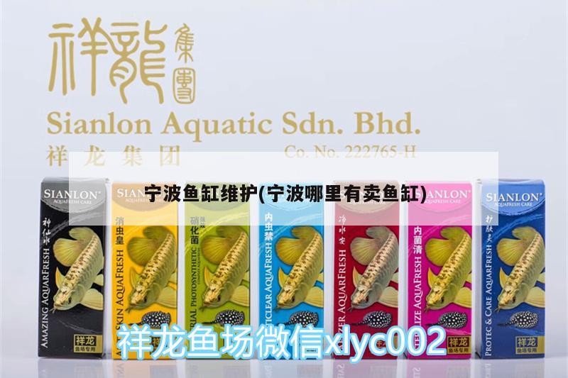 寧波魚缸維護(寧波哪里有賣魚缸)