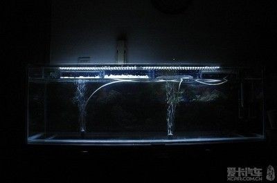 大魚缸小魚缸