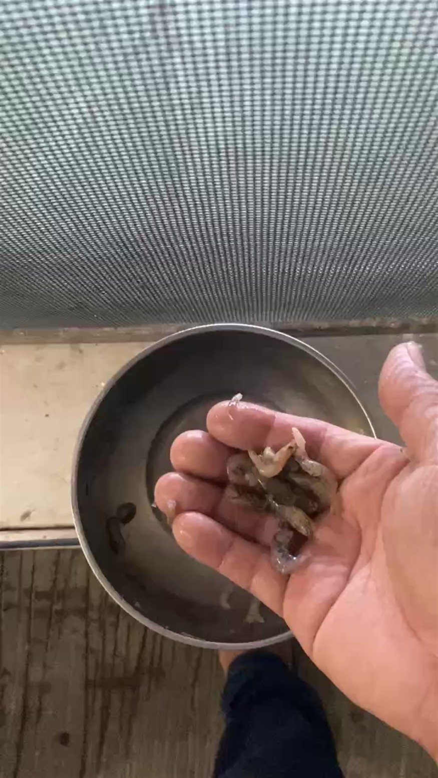 海南的冬天準備到來了 可以起池了 海南的冬天準備到來了 可以起池了 龍魚論壇