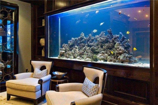 溫江魚缸批發市場在哪里進貨便宜些（溫江魚缸批發市場在哪里進貨便宜些呢）