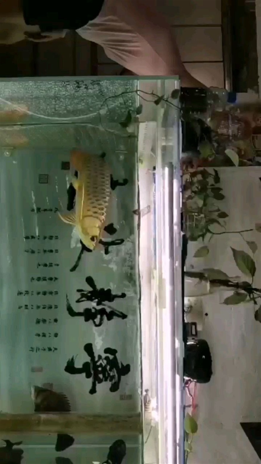 農歷六月廿二