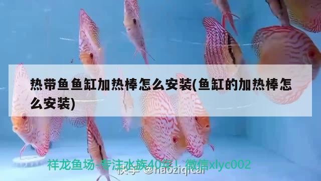 農歷六月廿二