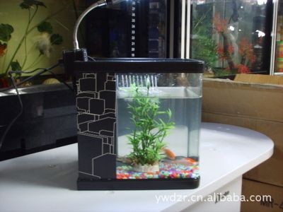博宇魚(yú)缸廠(chǎng)家：博宇魚(yú)缸廠(chǎng)家在水族用品領(lǐng)域有著一定的影響力和產(chǎn)品種類(lèi)豐富