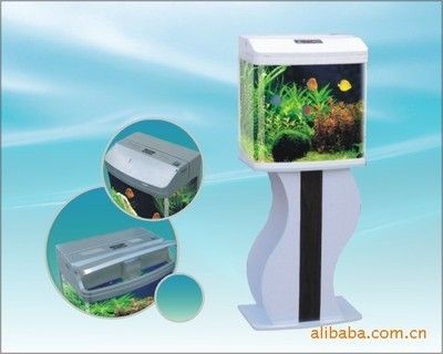 博宇魚(yú)缸廠(chǎng)家：博宇魚(yú)缸廠(chǎng)家在水族用品領(lǐng)域有著一定的影響力和產(chǎn)品種類(lèi)豐富