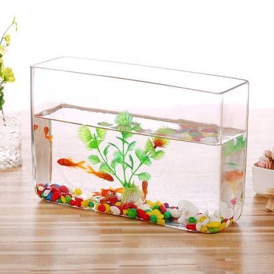 大魚缸改造植物缸好不好：大魚缸改造植物缸可行嗎