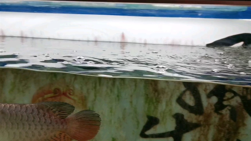 換下水