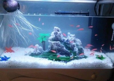 瓷盆魚缸用什么過濾：瓷盆魚缸的過濾器選擇