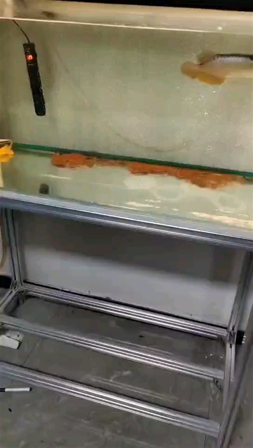 搬倉庫中[cahan]都拆完了