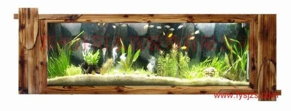 壁掛式魚缸:壁掛式魚缸是一種新型的家居裝飾品壁掛式魚缸的特點(diǎn) 魚缸百科 第1張 壁掛式魚缸:壁掛式魚缸是一種新型的家居裝飾品壁掛式魚缸的特點(diǎn) 壁掛式魚缸:壁掛式魚缸是一種新型的家居裝飾品壁掛式魚缸的特點(diǎn) 魚缸百科 第1張